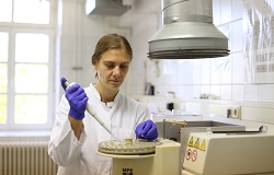 Frau mit weißem Kittel und blauen handschuhen in einem Labor der Orthopädie der Uniklinik Rostock